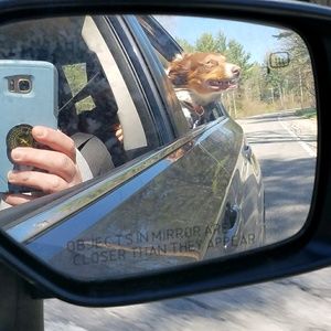 Meet your Posher, Kimberly